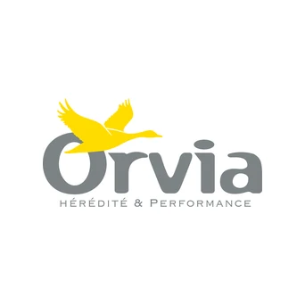 Groupe Orvia
